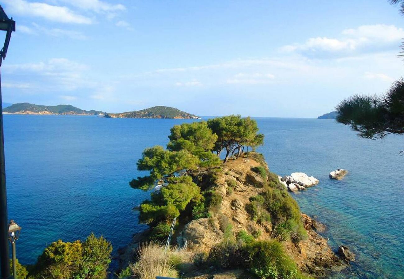 House in Skiathos - Orsalia Sea View House in romantic Plakes 