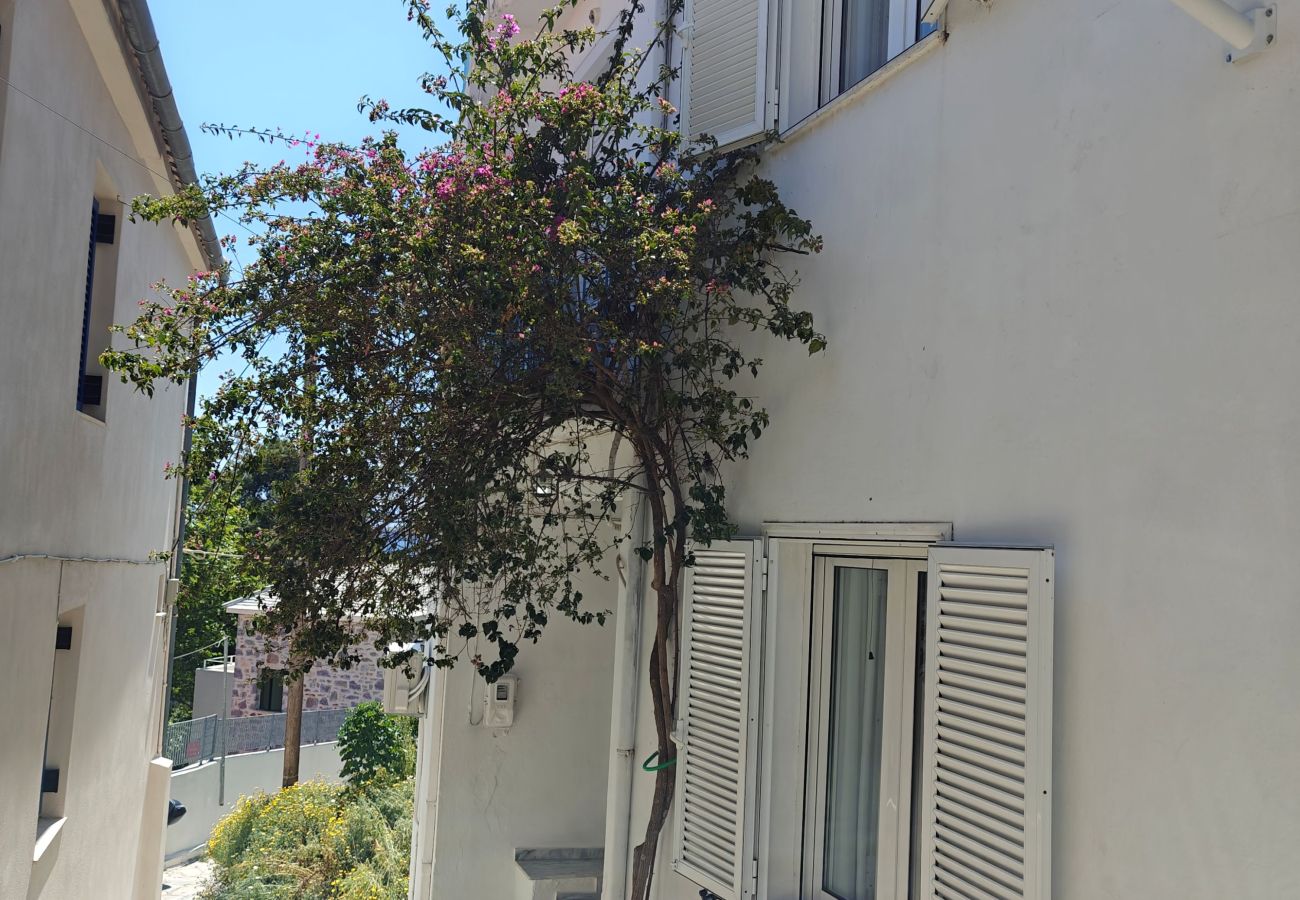 House in Skiathos - Orsalia Sea View House in romantic Plakes 