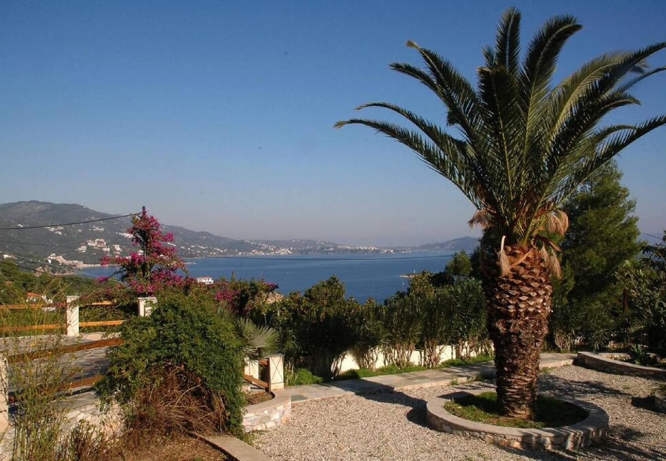 Villa in Skiathos - fantastic 4 bedroomed villa with pool and sea view 