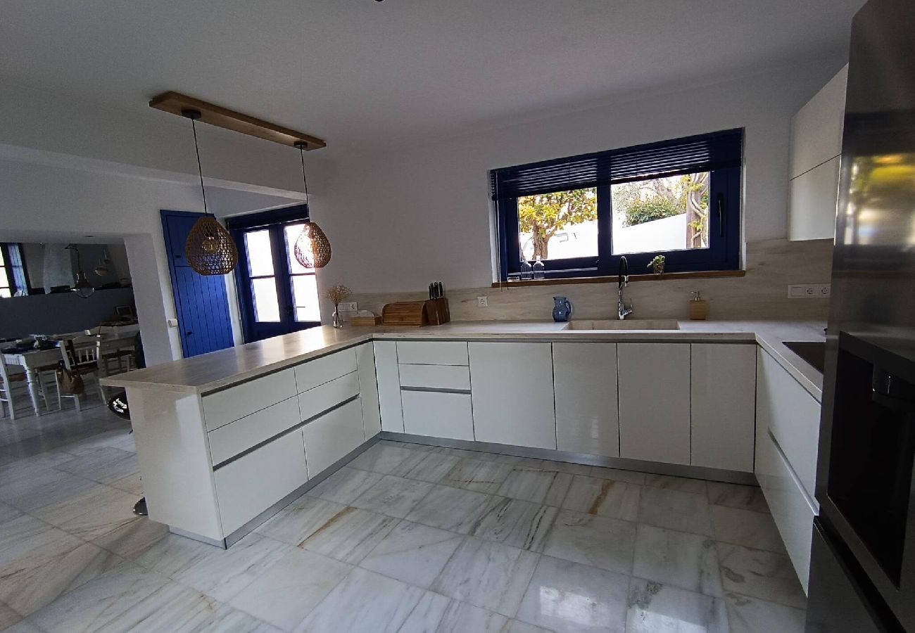 Villa in Skiathos - fantastic 4 bedroomed villa with pool and sea view 