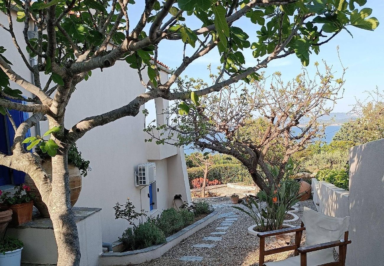 Villa in Skiathos - fantastic 4 bedroomed villa with pool and sea view 