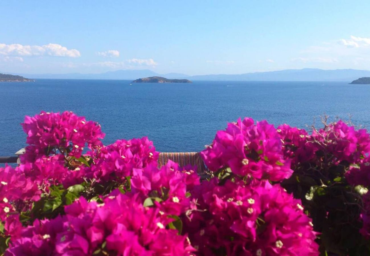 House in Skiathos - Plakes view    traditional house with dream views 