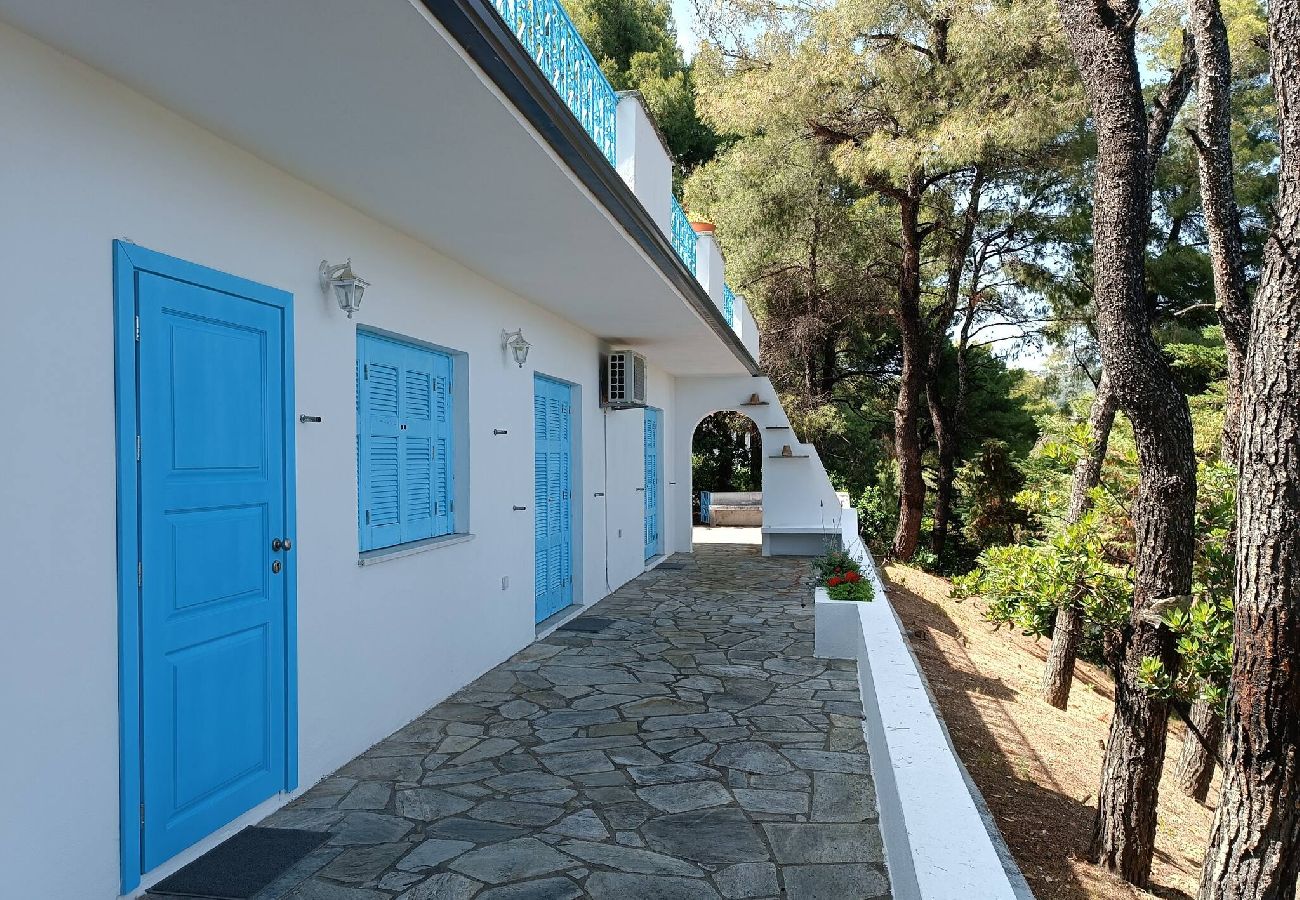 Villa in Skiathos - Nova 2: Cosy 2-bedroom villa near Kanapitsa beach 