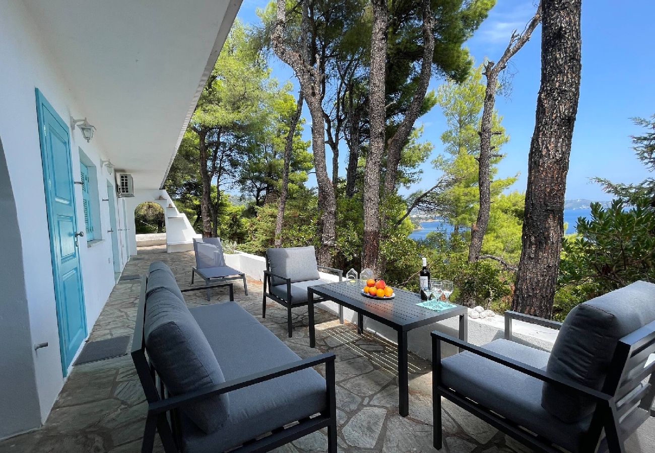 Villa in Skiathos - Nova 2: Cosy 2-bedroom villa near Kanapitsa beach 