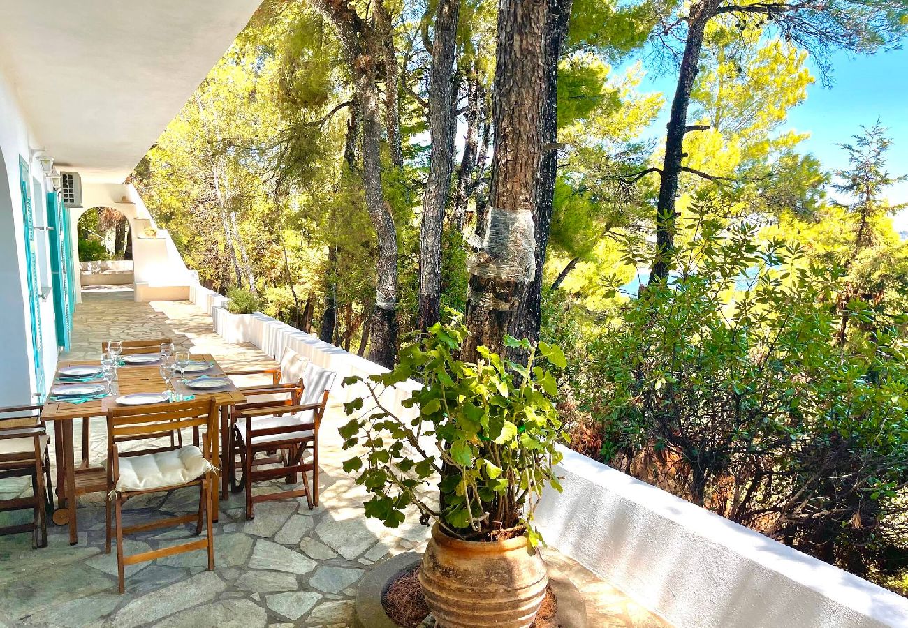 Villa in Skiathos - Nova 2: Cosy 2-bedroom villa near Kanapitsa beach 