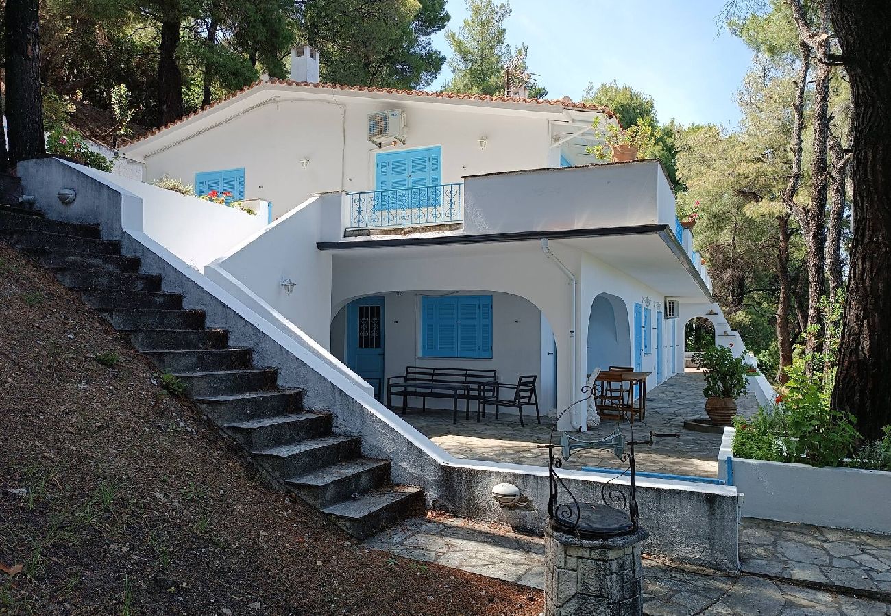 Villa in Skiathos - Nova 2: Cosy 2-bedroom villa near Kanapitsa beach 