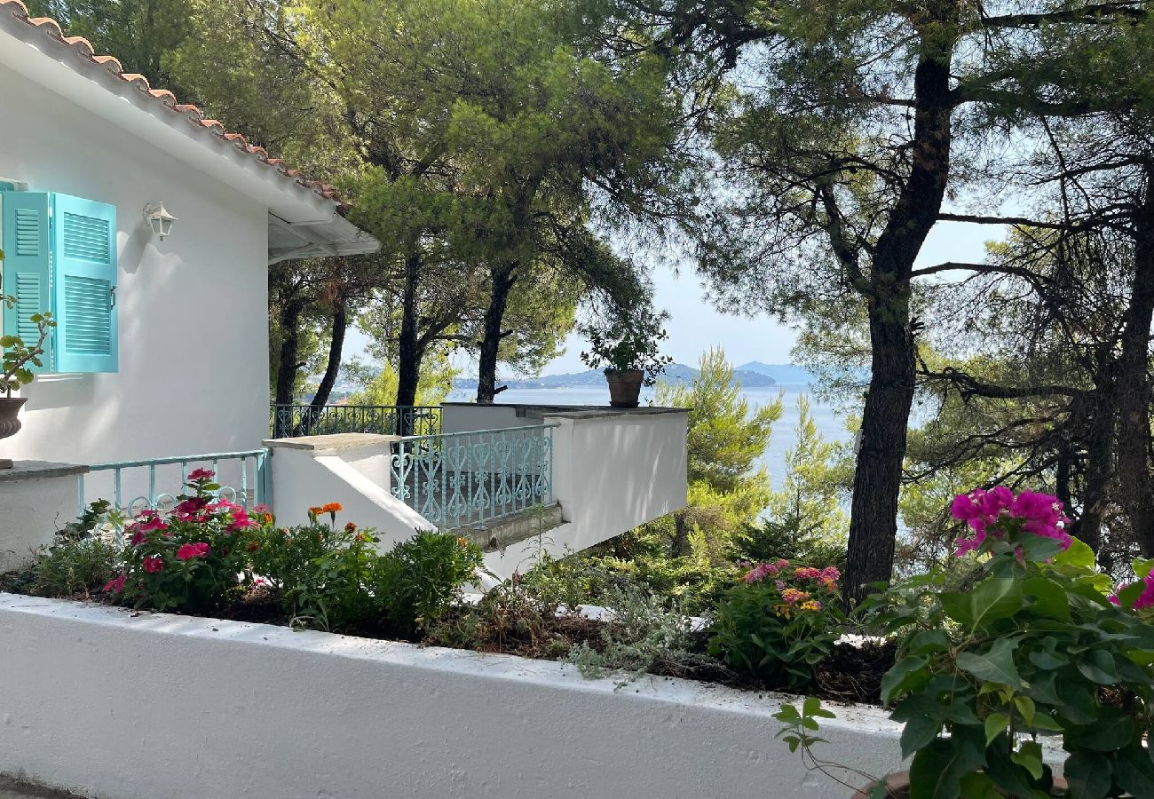 Villa in Skiathos - SuperNova, glorious villa for 10 near beach 