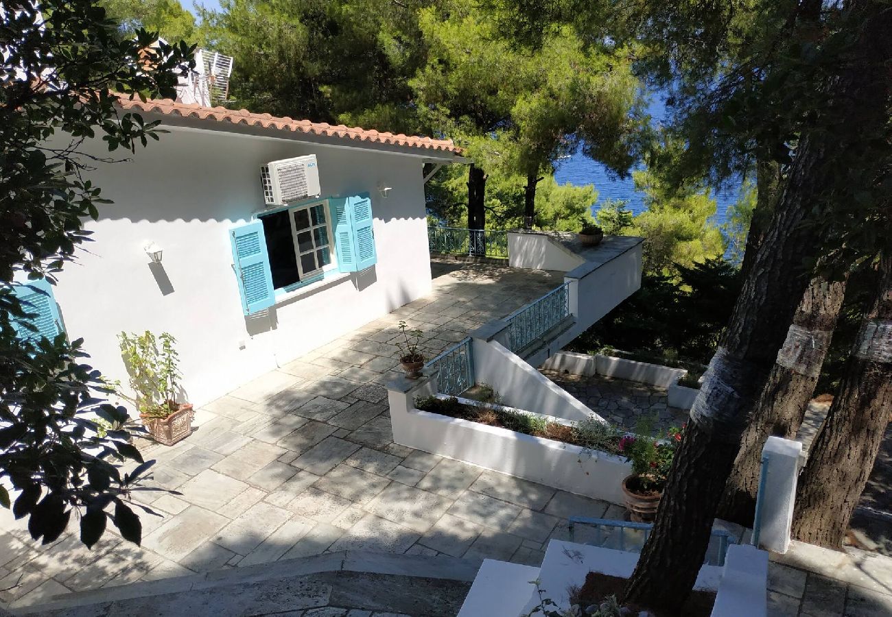 Villa in Skiathos - SuperNova, glorious villa for 10 near beach 