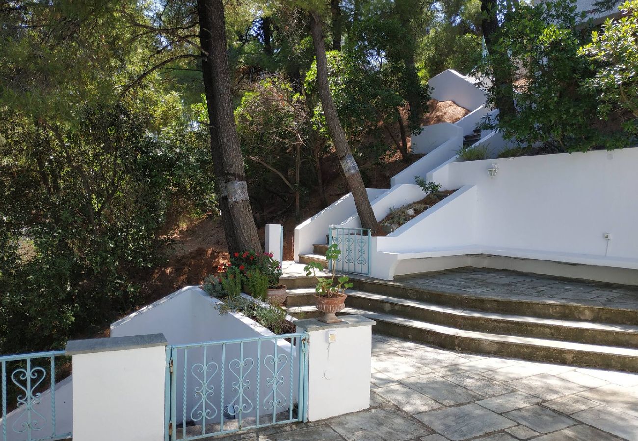 Villa in Skiathos - SuperNova, glorious villa for 10 near beach 