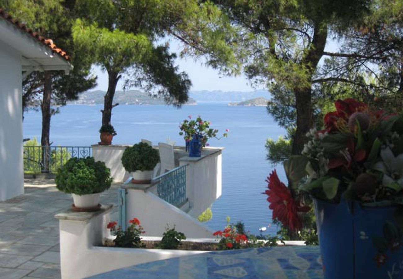 Villa in Skiathos - SuperNova, glorious villa for 10 near beach 