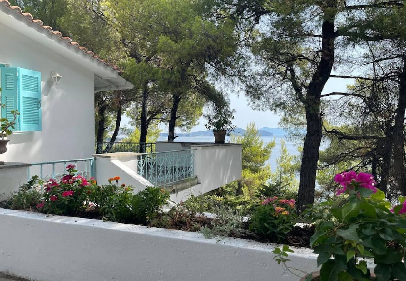 Villa in Skiathos - Villa Nova 1  for six under the trees of Kanapitsa with sea views