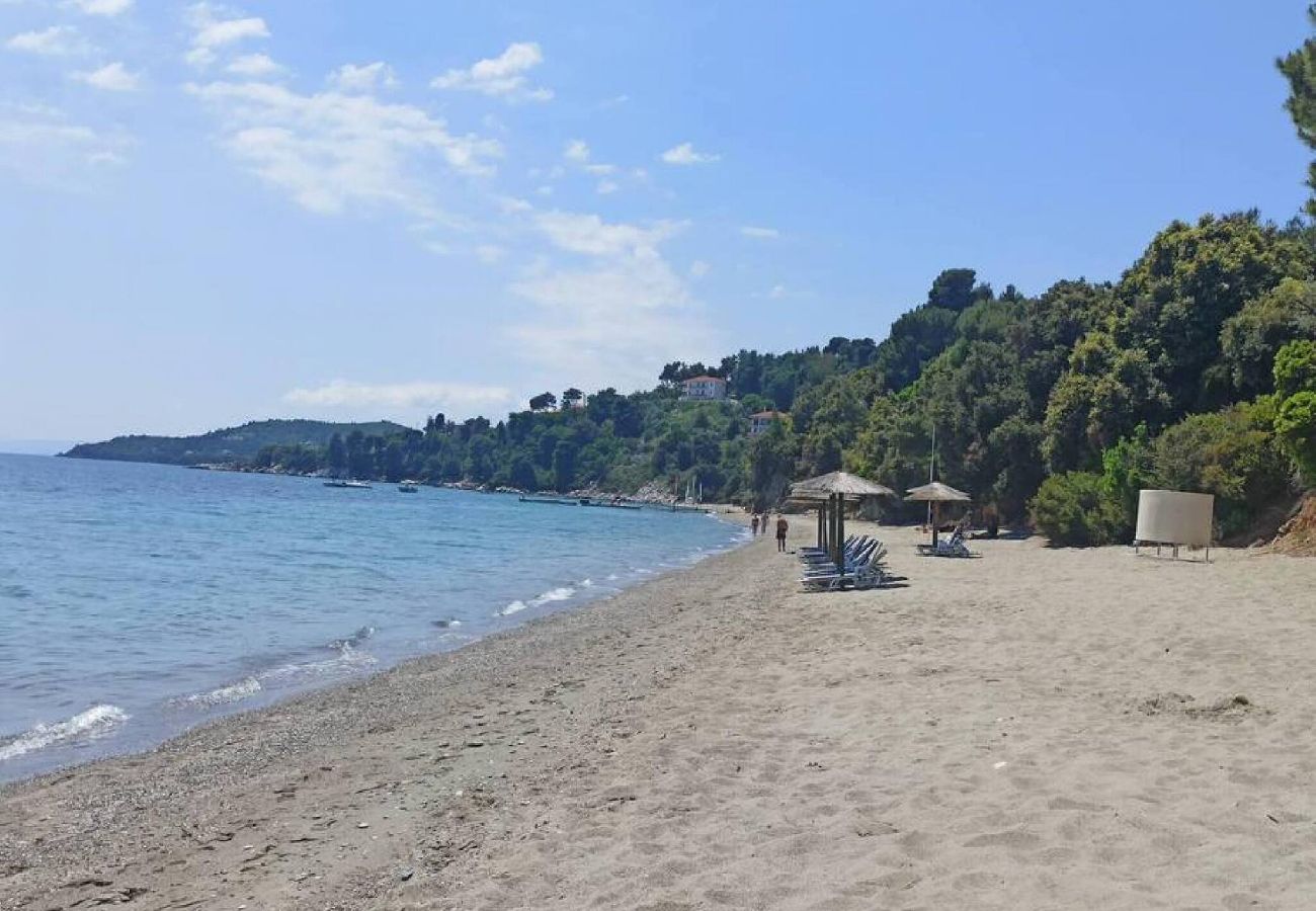 House in Skiathos - Eleni s Seaside house for 4  easy beach access 