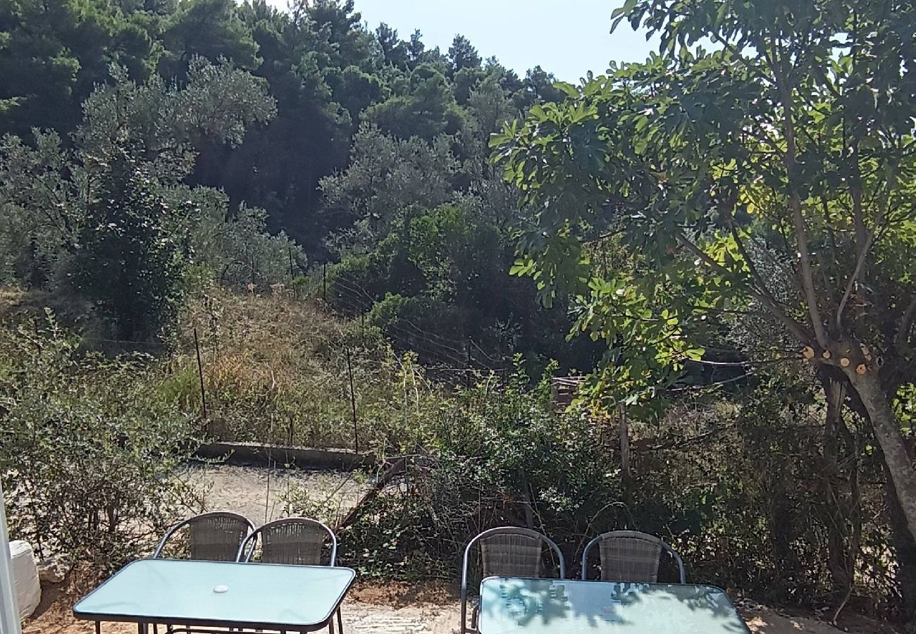 Mobile home in Skiathos - Fun mobile home in green valley 