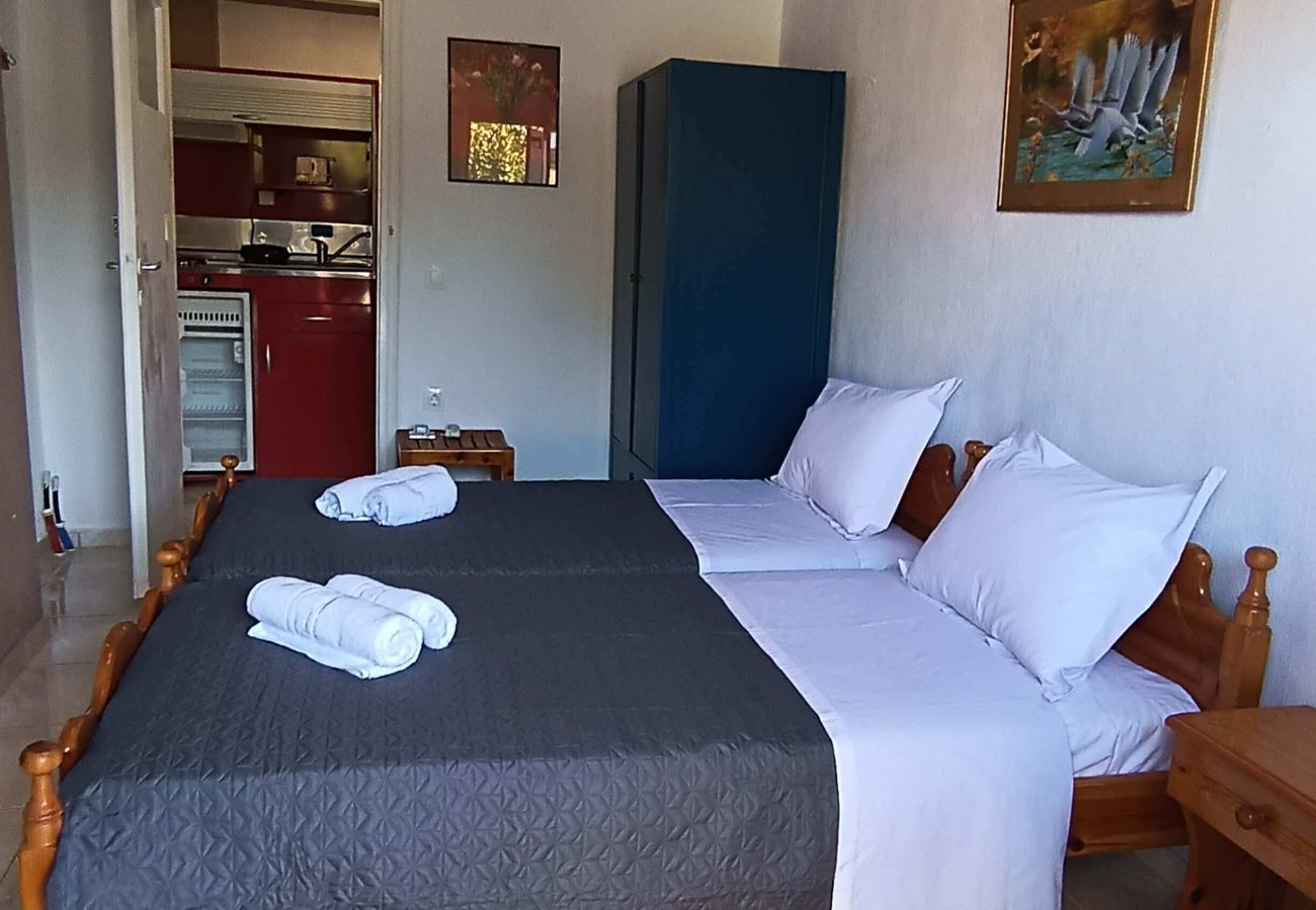 House in Skiathos - 2 bedrooms and courtyard in town 