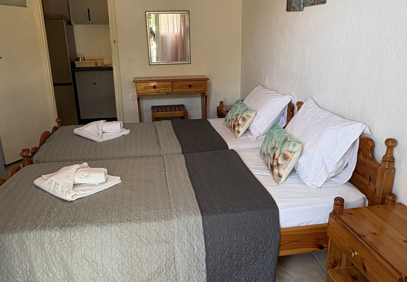 House in Skiathos - Blue Dolphins, 2 bedrooms and quiet courtyard in town 