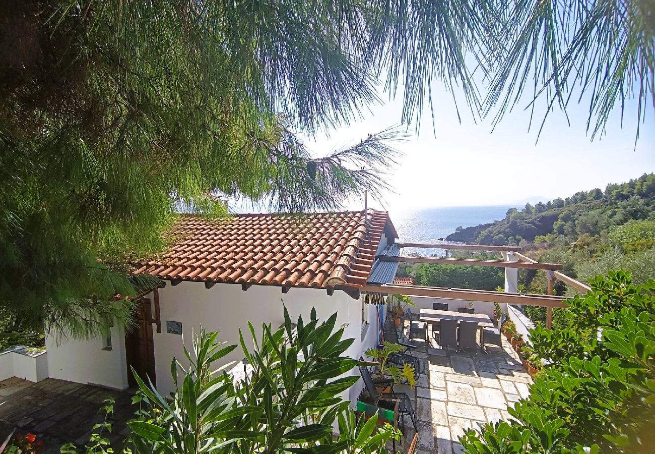Villa in Skiathos - Villa Gianna,  stunning sea views near Diamanti 
