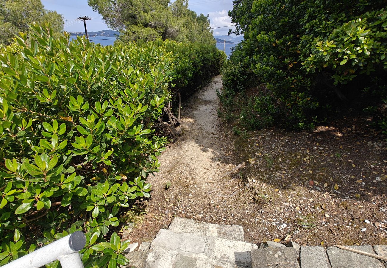 Villa in Skiathos - Villa Dorothea