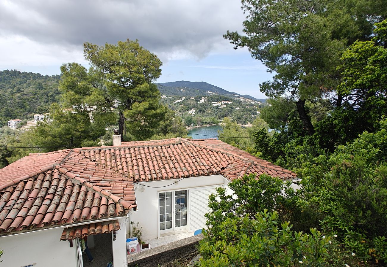 Villa in Skiathos - Villa Dorothea