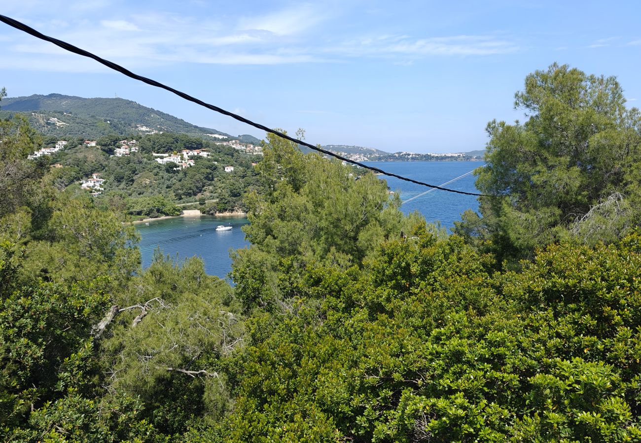 Villa in Skiathos - Villa Dorothea