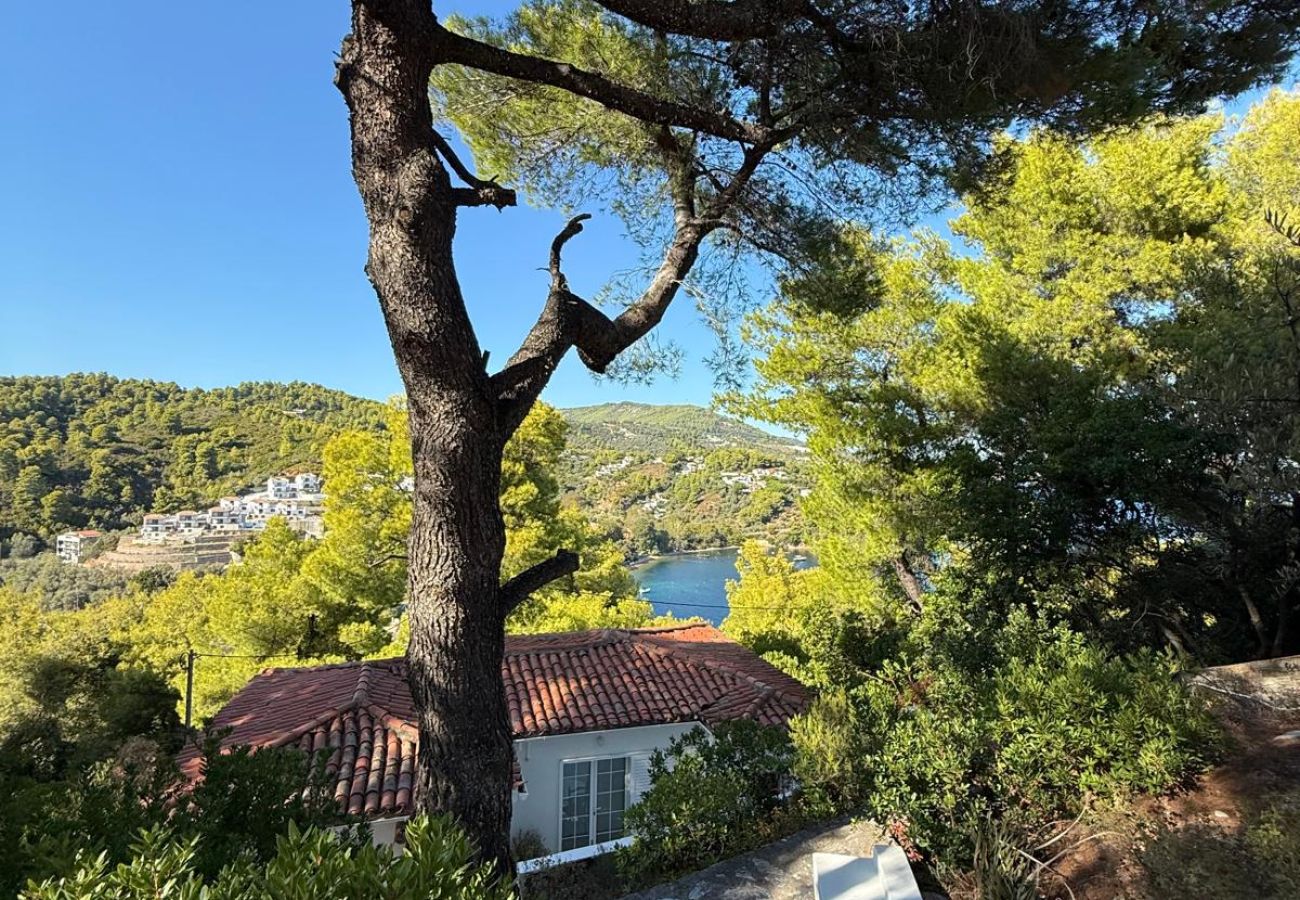 Villa in Skiathos - Villa Dorothea