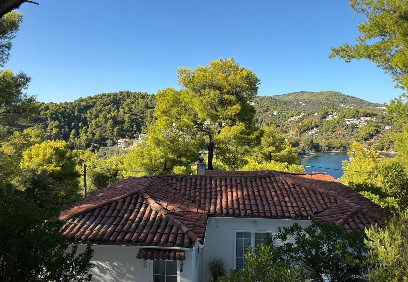 Villa in Skiathos - Villa Dorothea