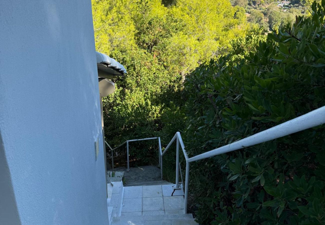 Villa in Skiathos - Villa Dorothea