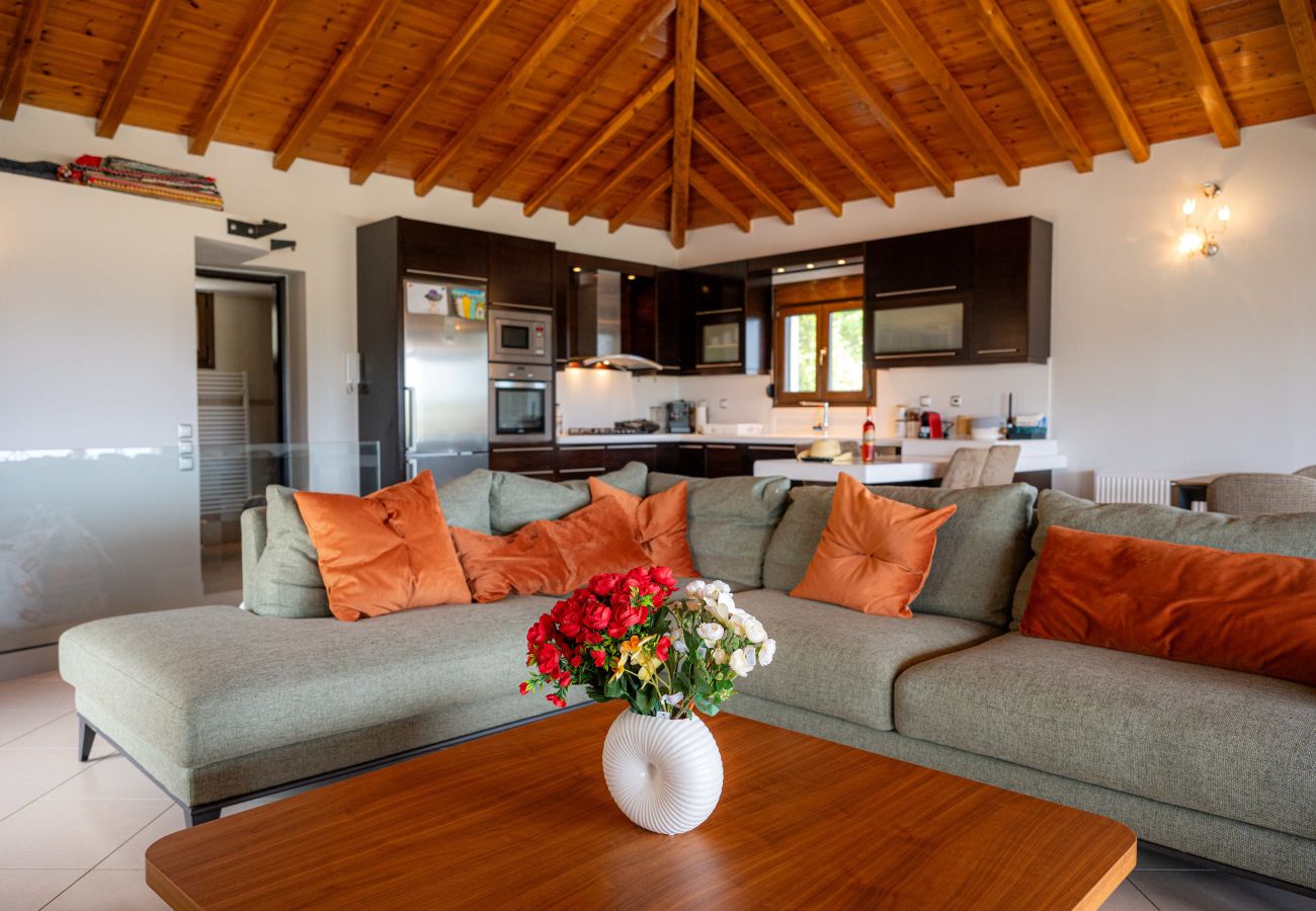 Villa in Skiathos - Runway Mansion