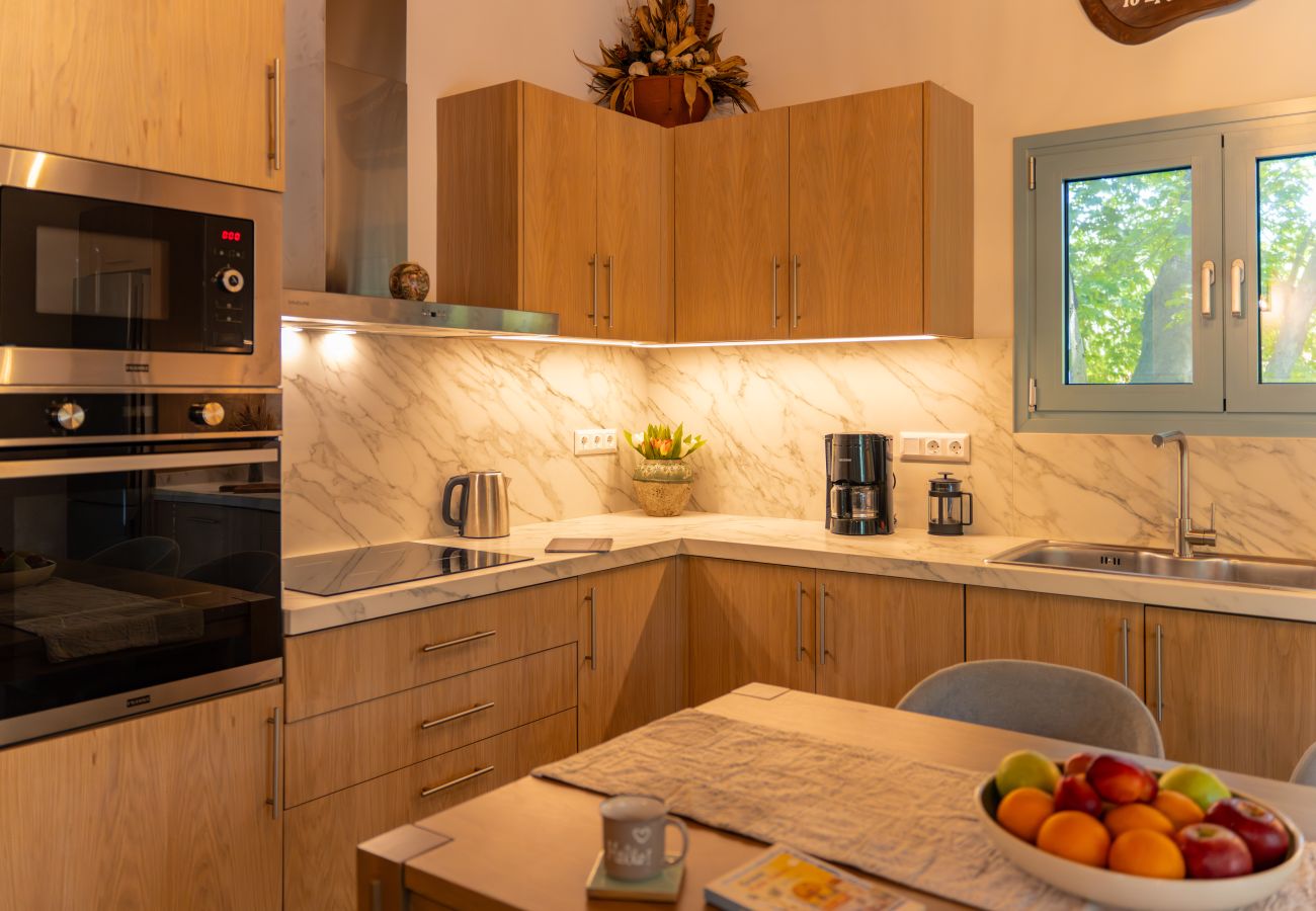 Country house in Skiathos - Pappou's workplace, elegant country house in Platanias