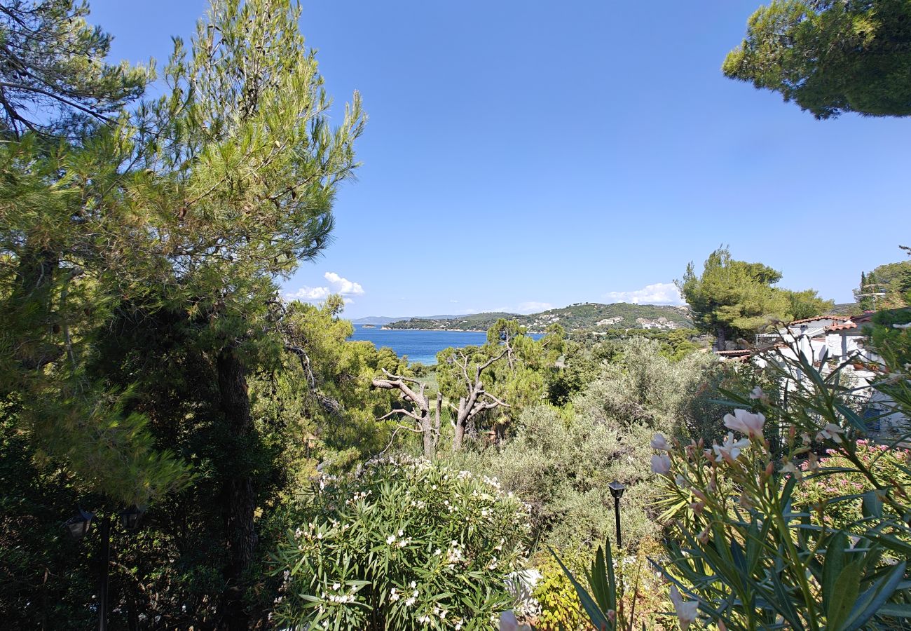 Villa in Skiathos - Villa Sun and Moon 2