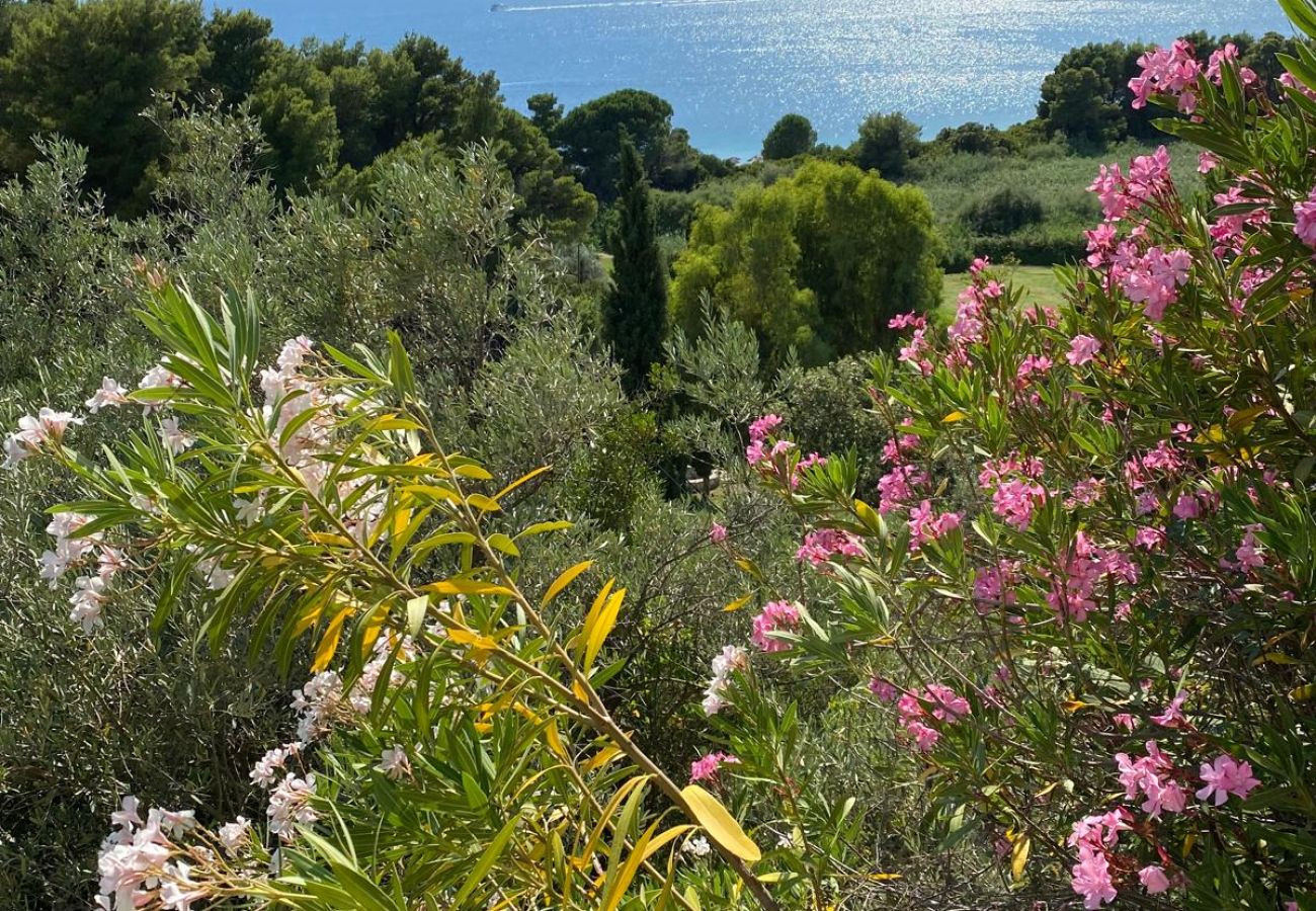 Villa in Skiathos - Villa Sun and Moon 2