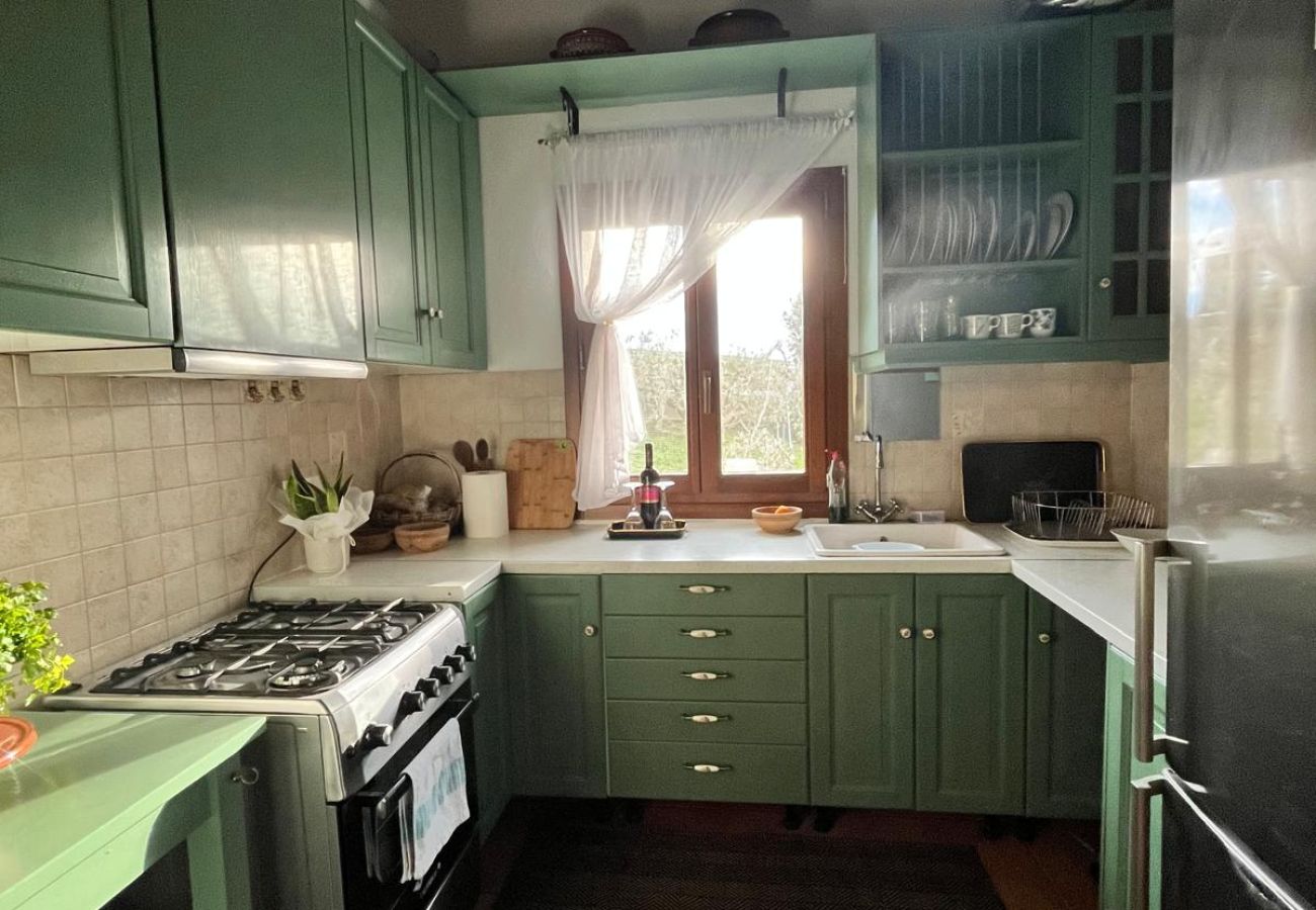 House in Skiathos - Fournakia Eco-home