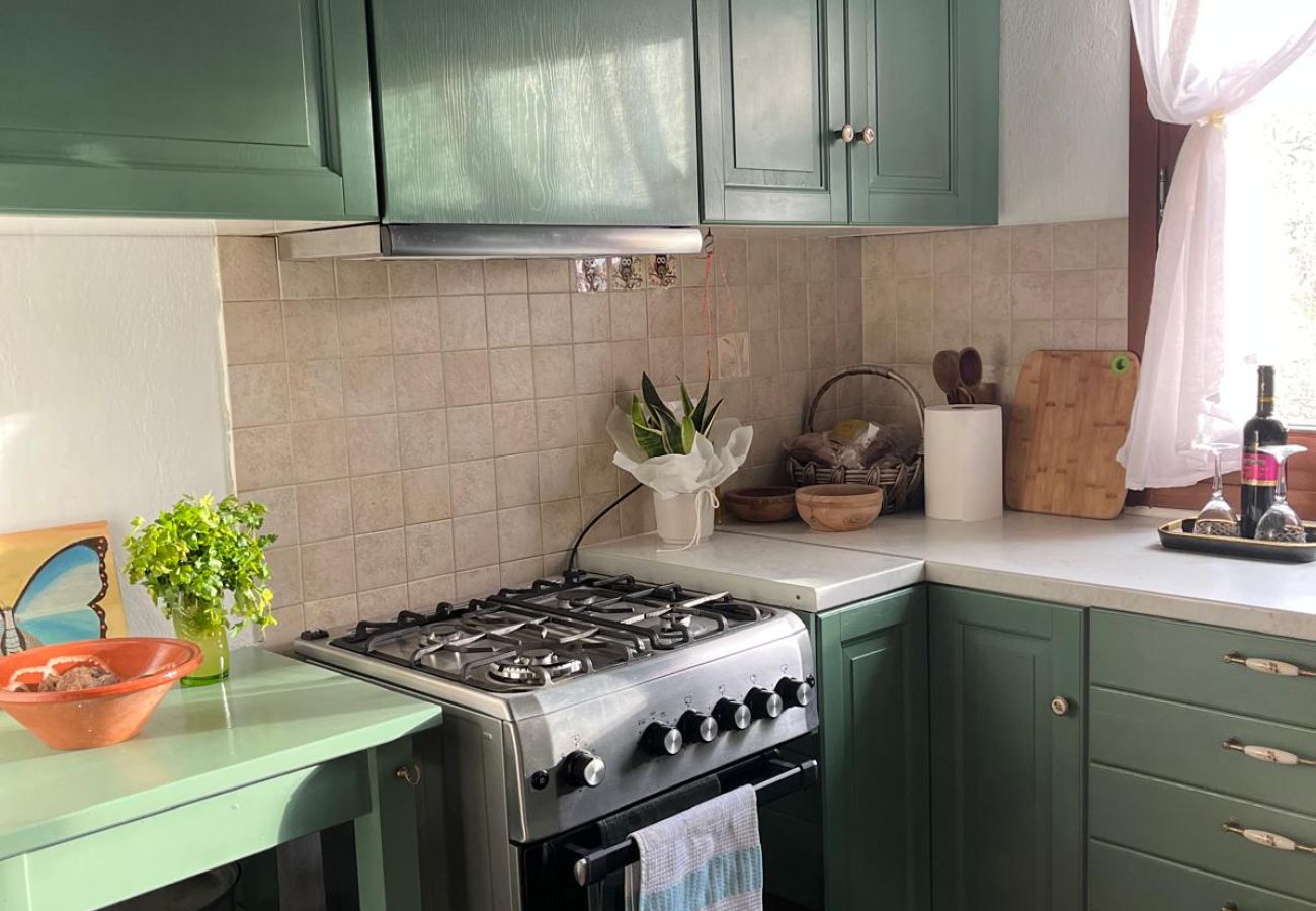 House in Skiathos - Fournakia Eco-home