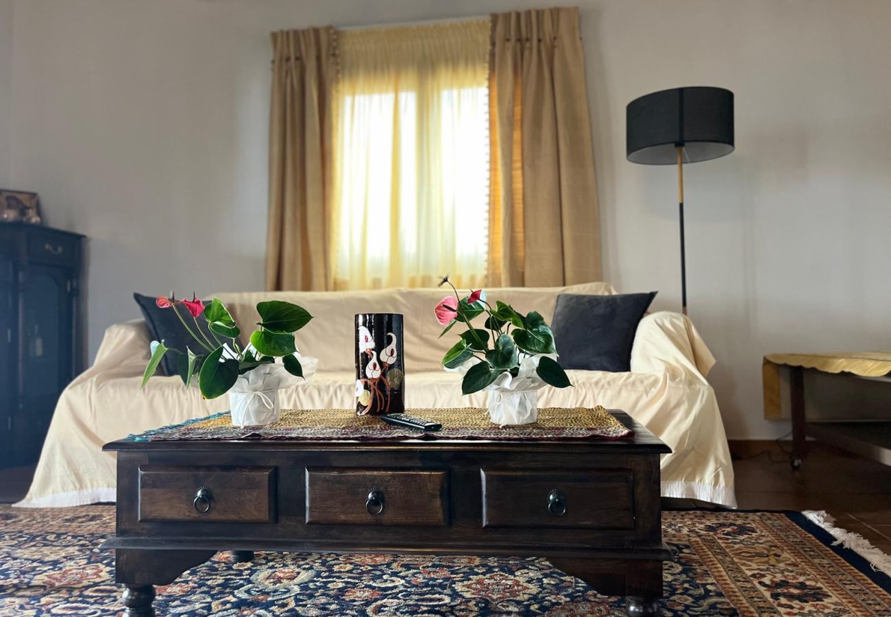 House in Skiathos - Fournakia Eco-home