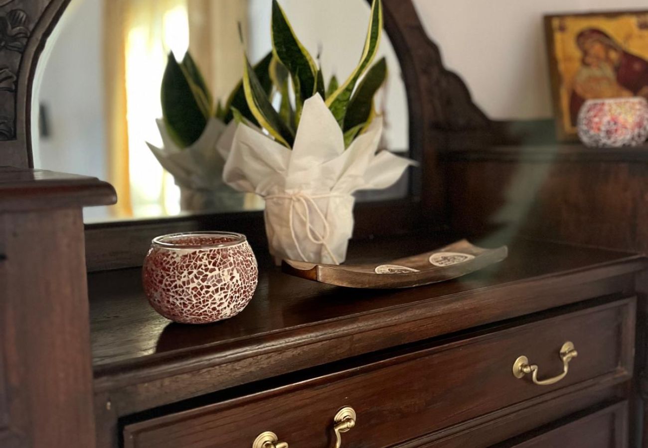 House in Skiathos - Fournakia Eco-home