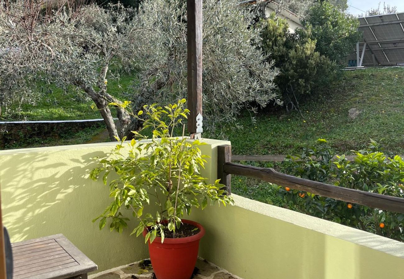 House in Skiathos - Fournakia Eco-home