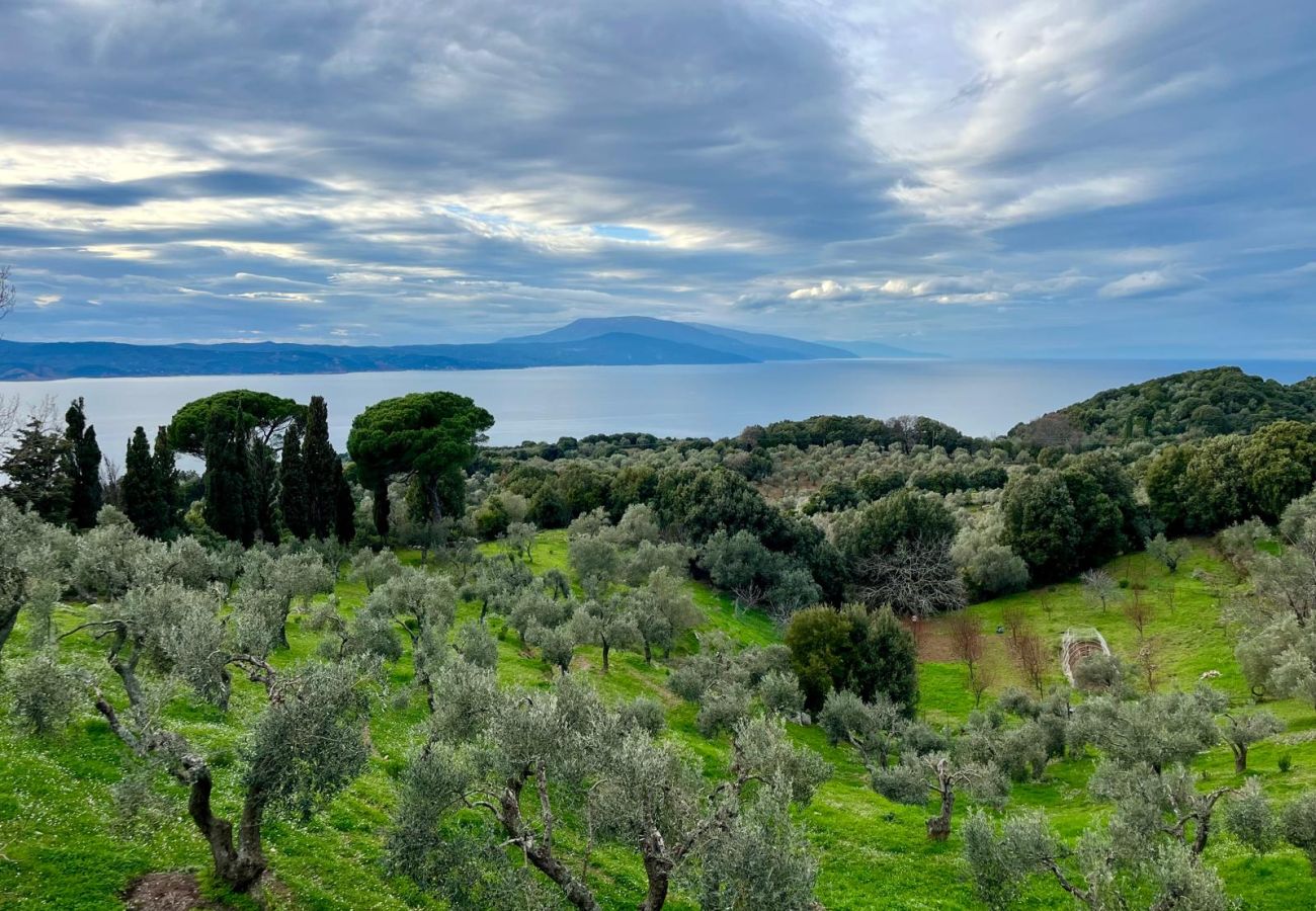 House in Skiathos - Fournakia Eco-home