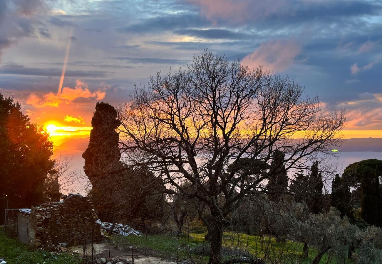 House in Skiathos - Fournakia for 4, eco-home