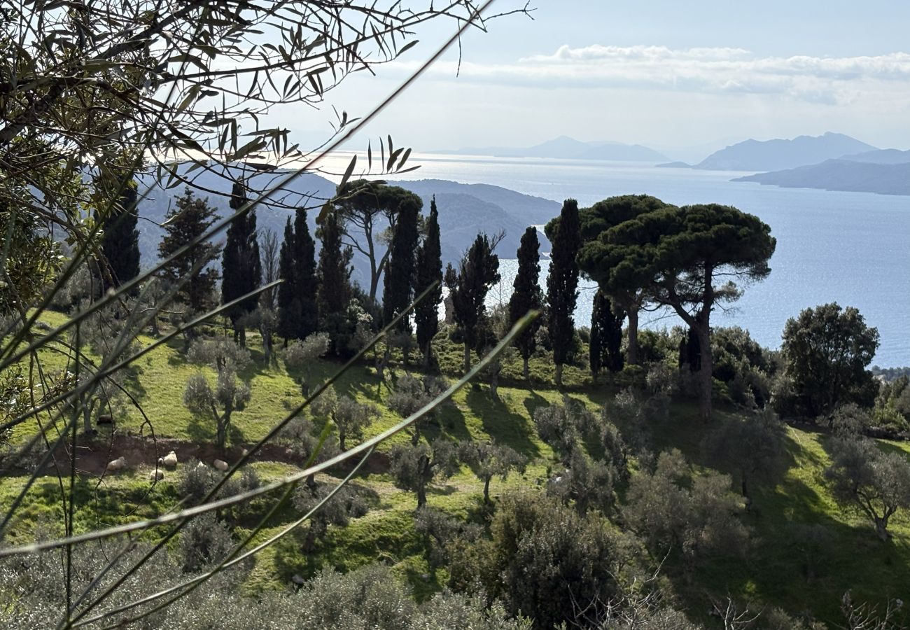 House in Skiathos - Fournakia for 4, eco-home