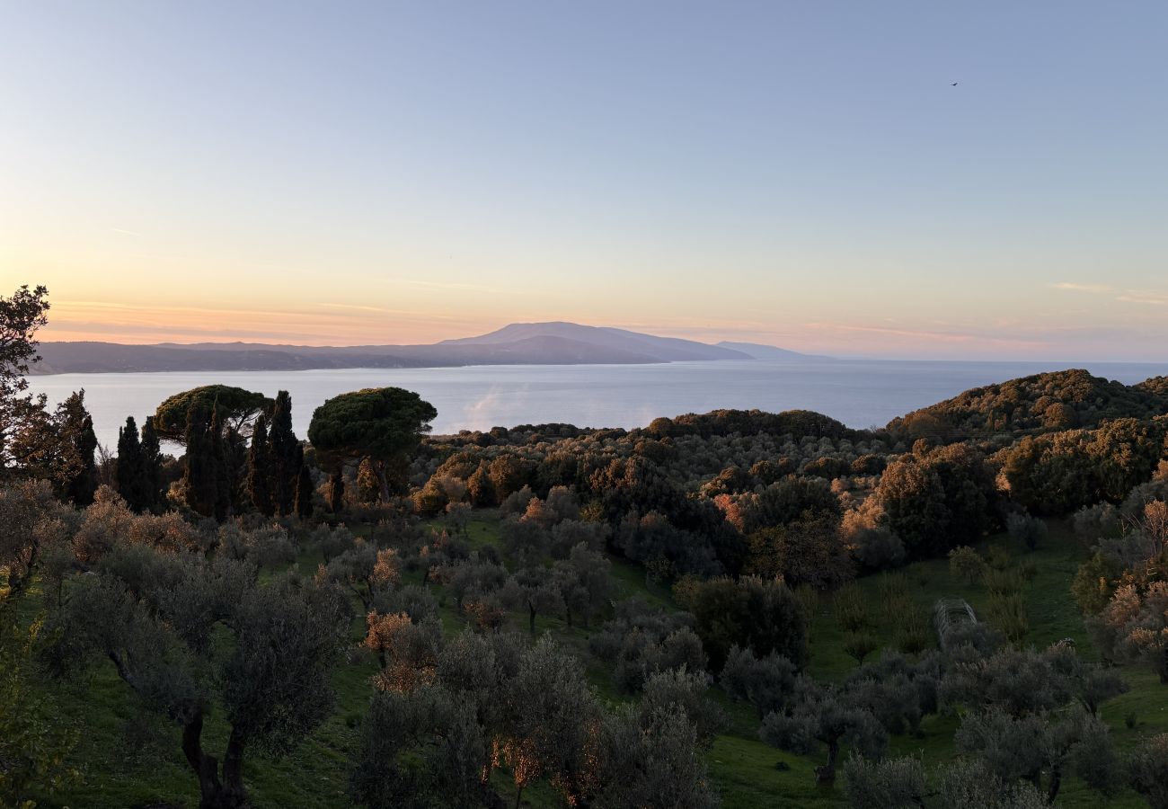 House in Skiathos - Fournakia for 4, eco-home