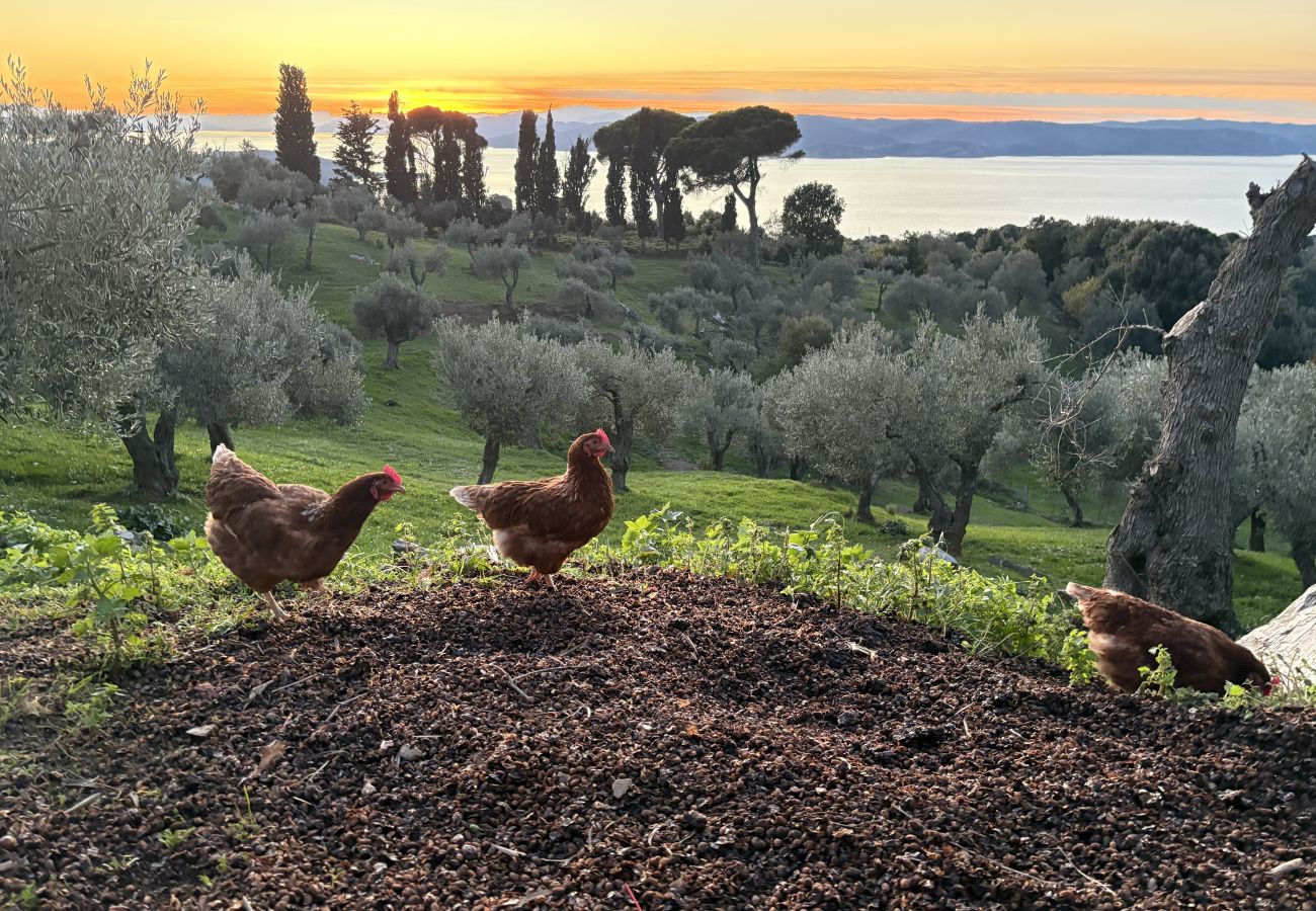 House in Skiathos - Fournakia for 4, eco-home